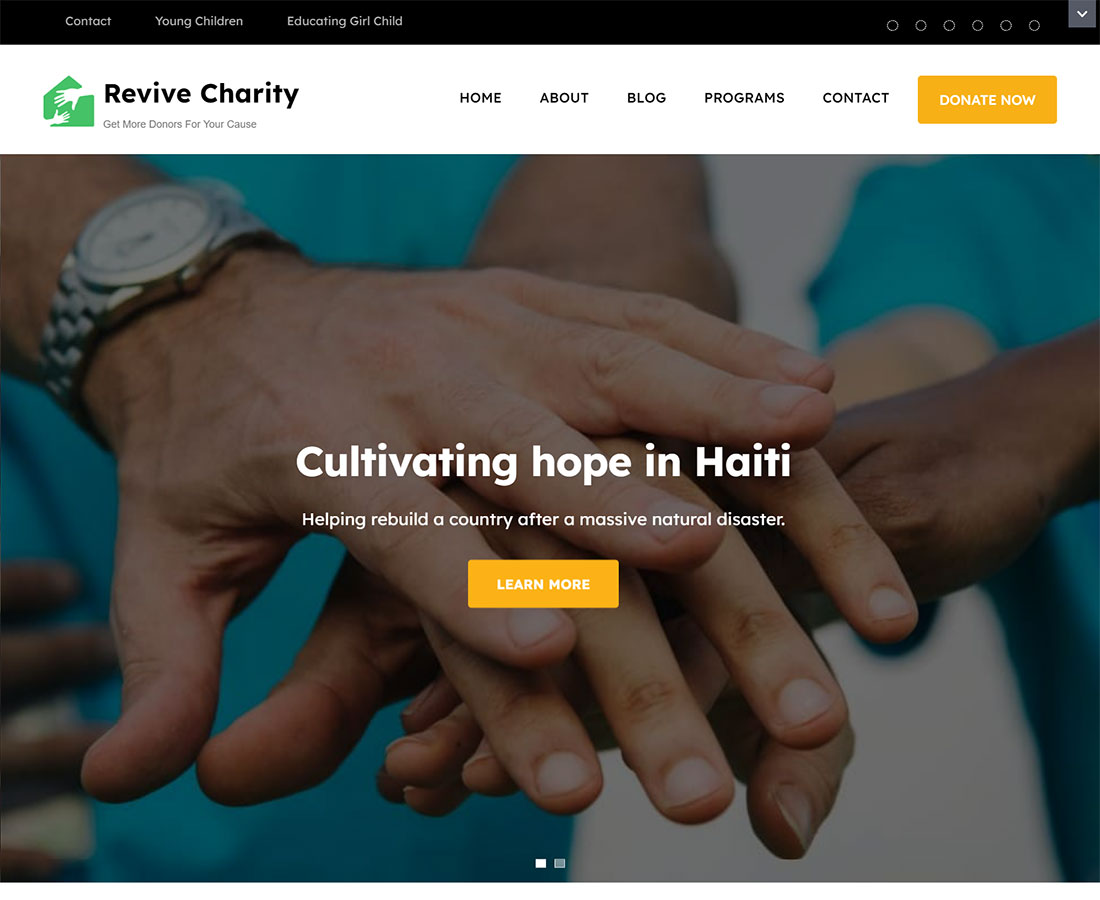 Revive Charity – Free WordPress Theme